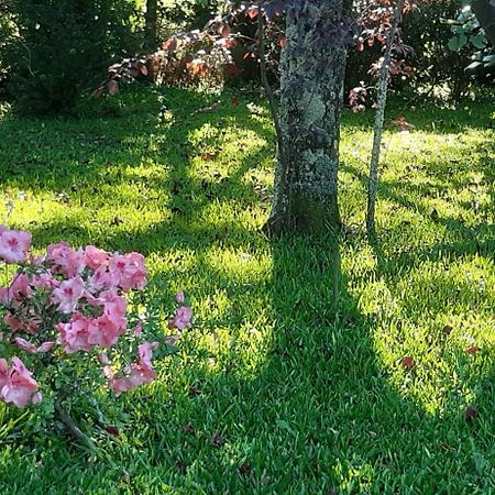 Quinta D'Avó Amélia Panzió Alquerubim Kültér fotó