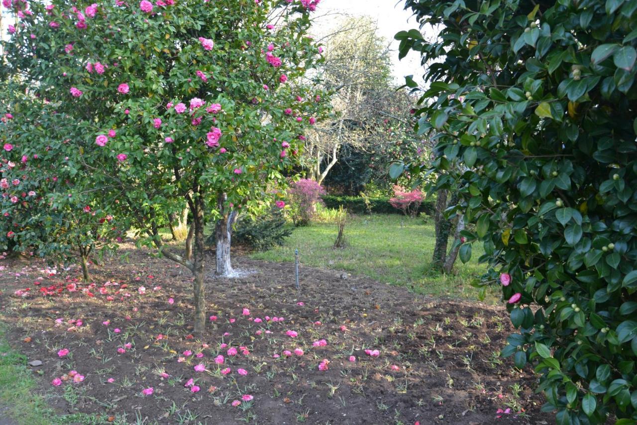 Quinta D'Avó Amélia Panzió Alquerubim Kültér fotó