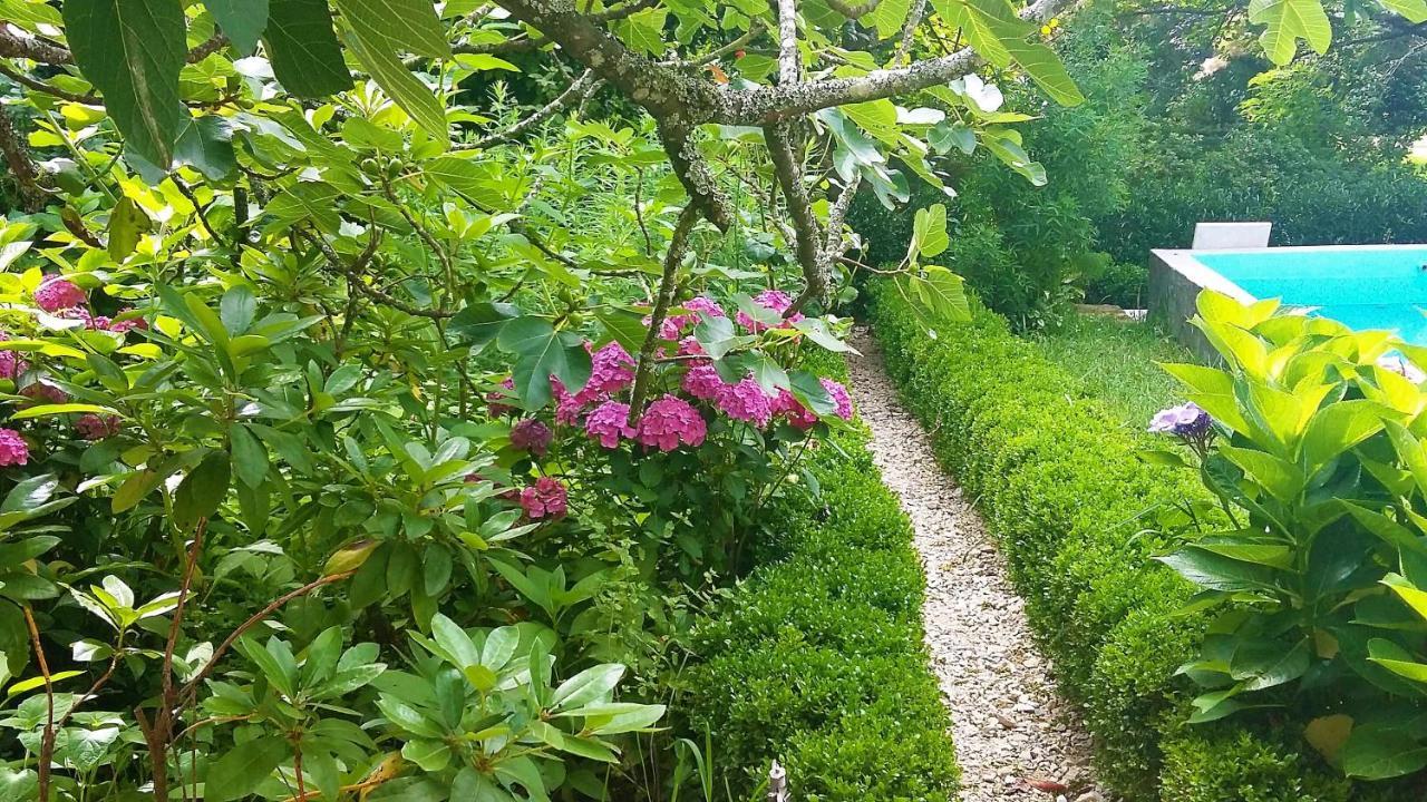 Quinta D'Avó Amélia Panzió Alquerubim Kültér fotó