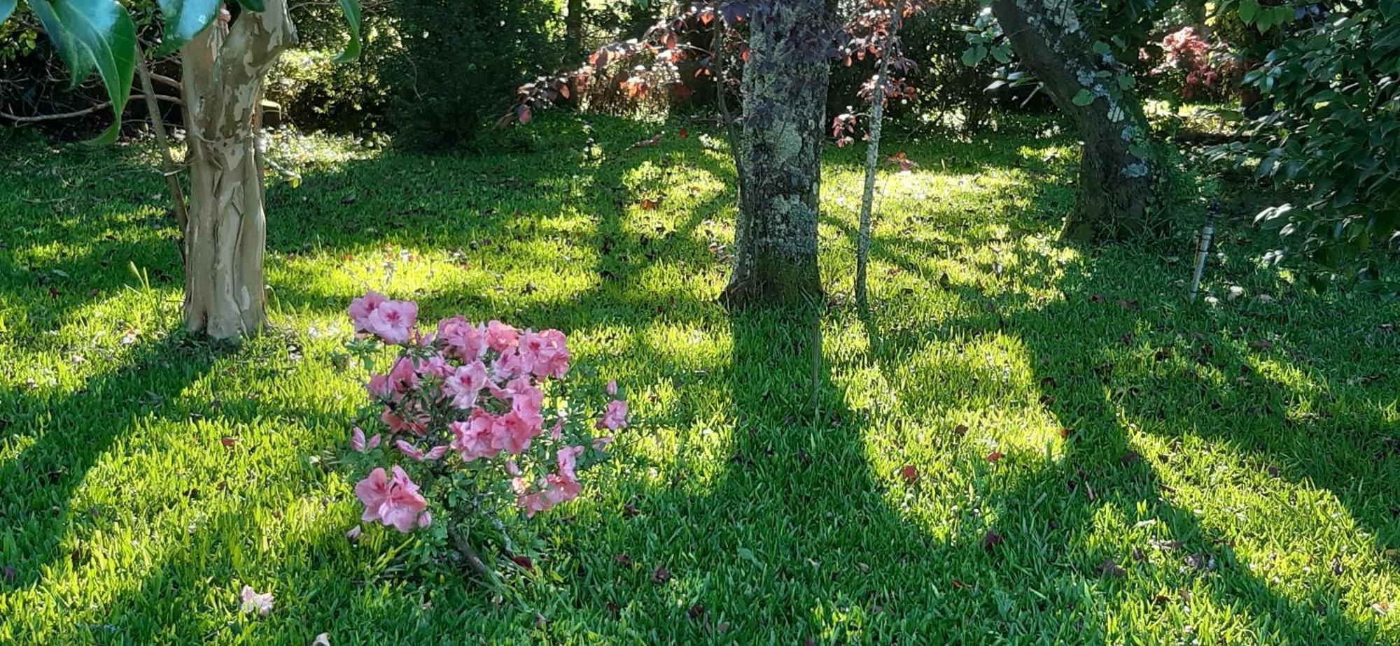 Quinta D'Avó Amélia Panzió Alquerubim Kültér fotó